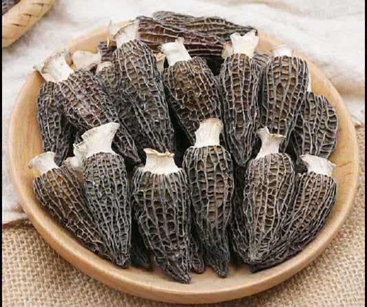 Morels mushroom